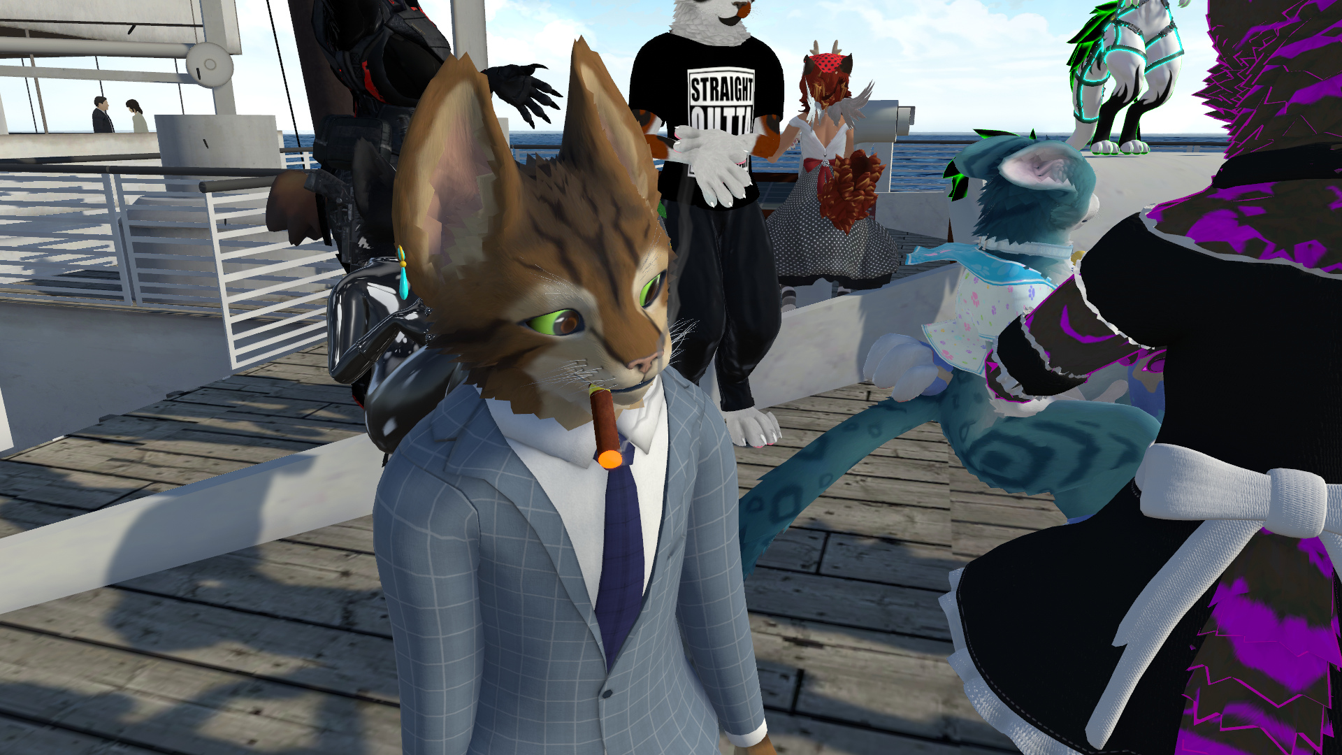 Fanciest cat on deck