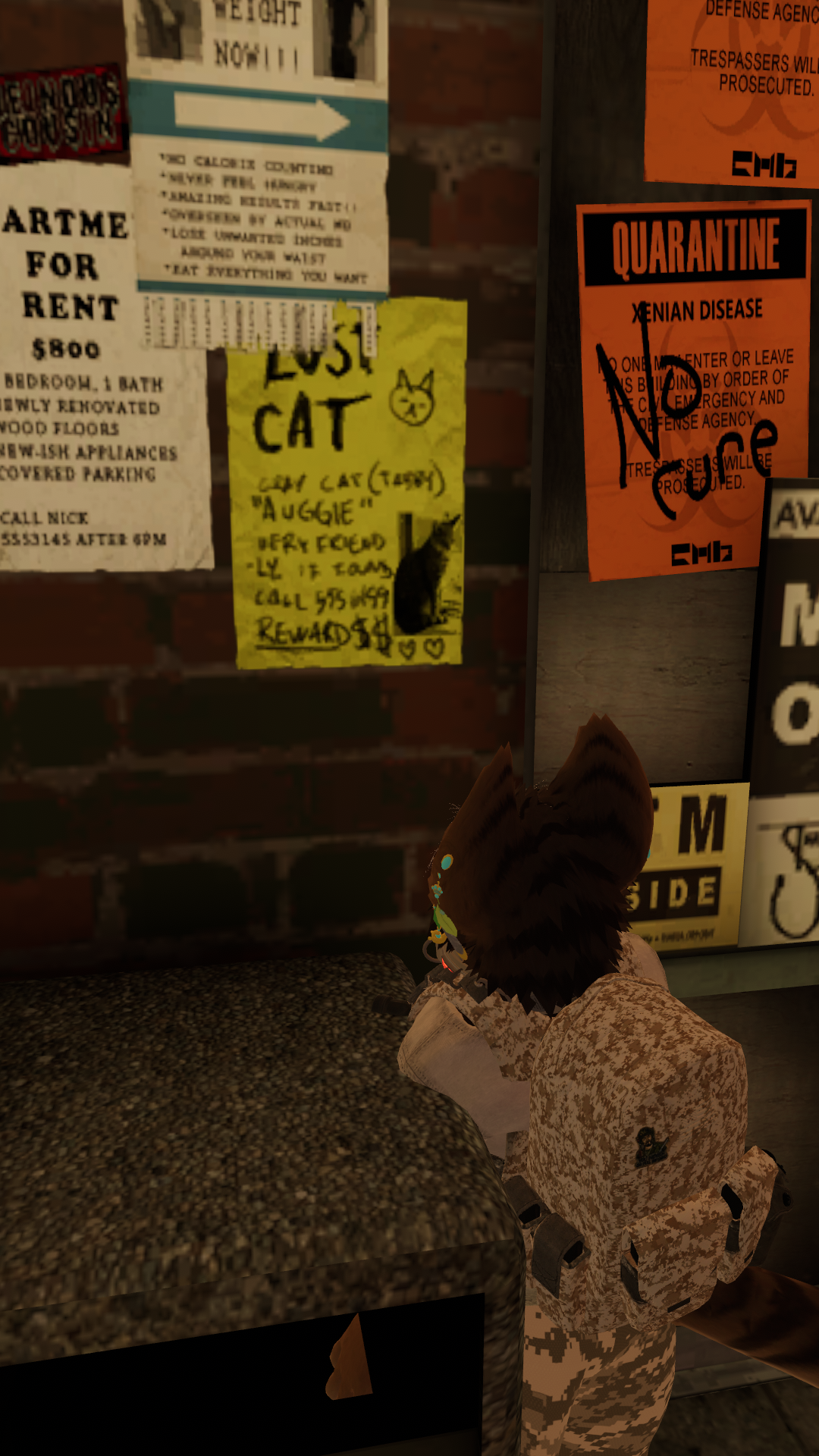 Local cat finds himself