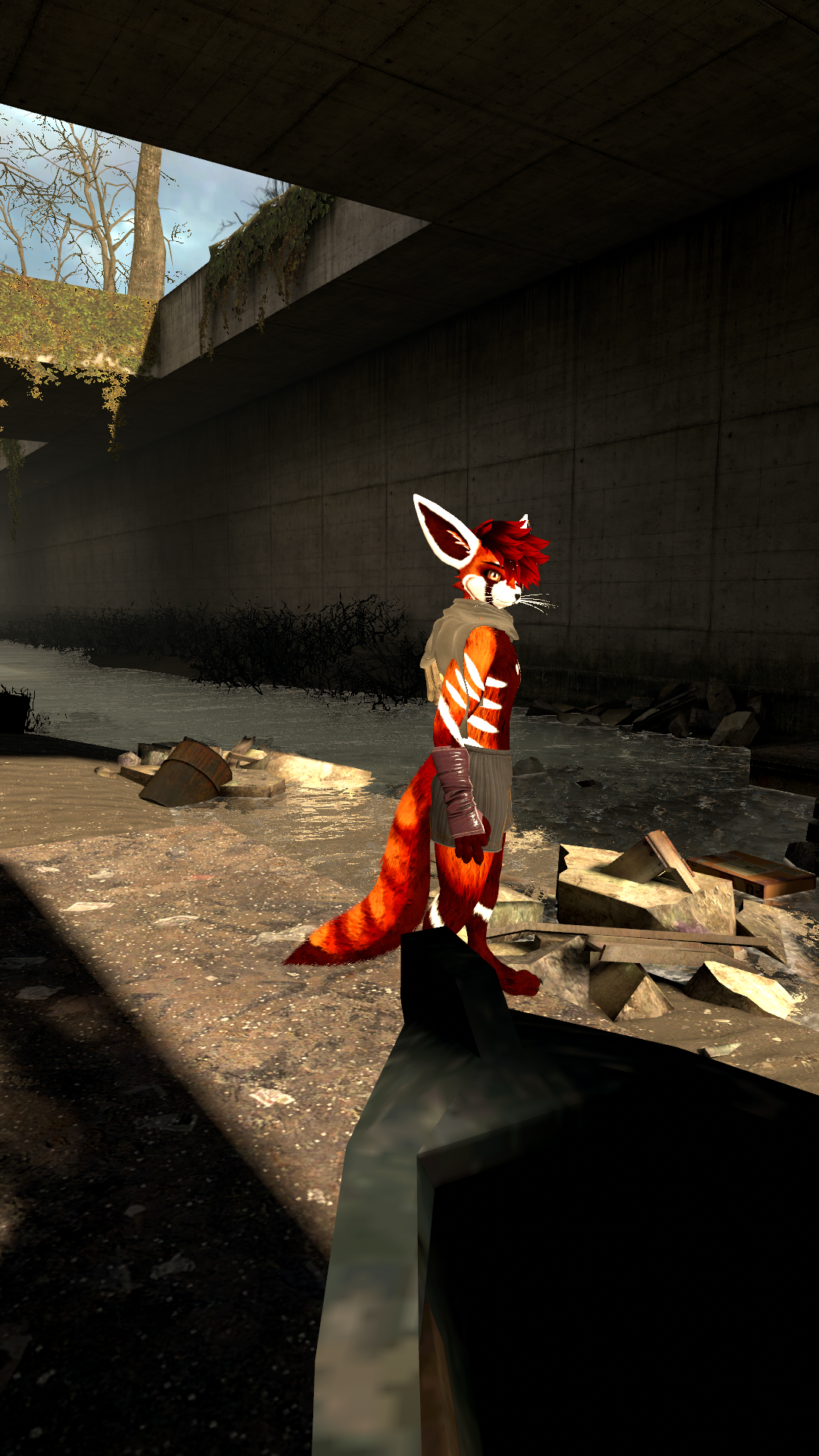 Scrounging amongst the ruins