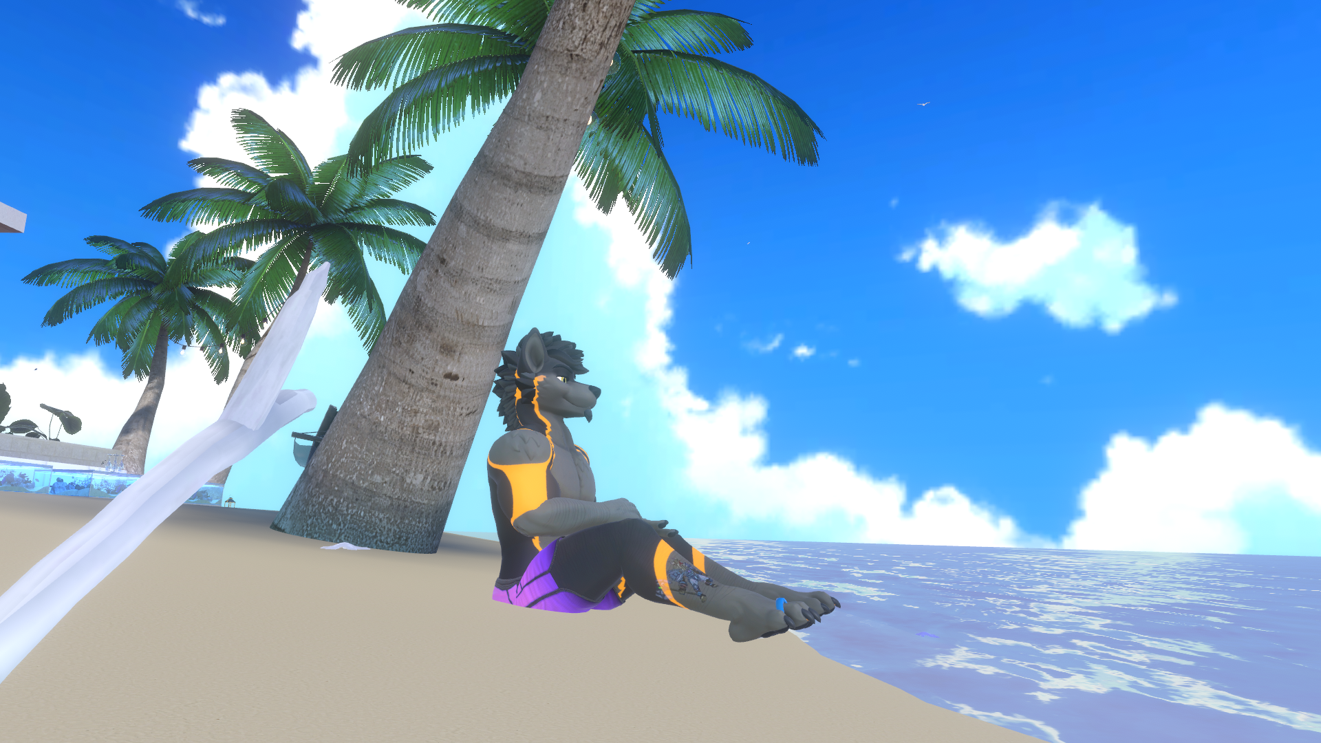 beach stare.png