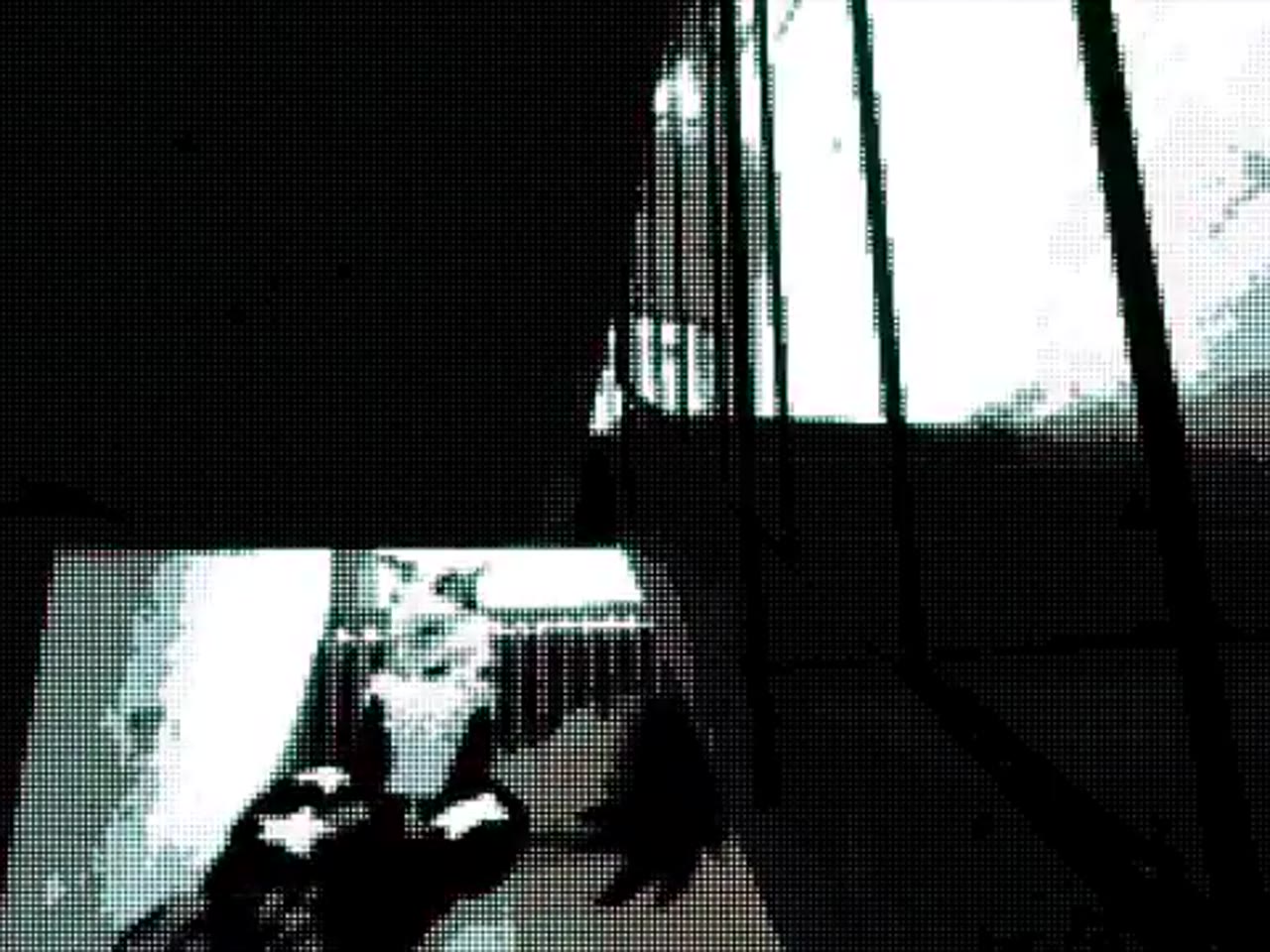 fauxx - guess I'm stuck like this forever